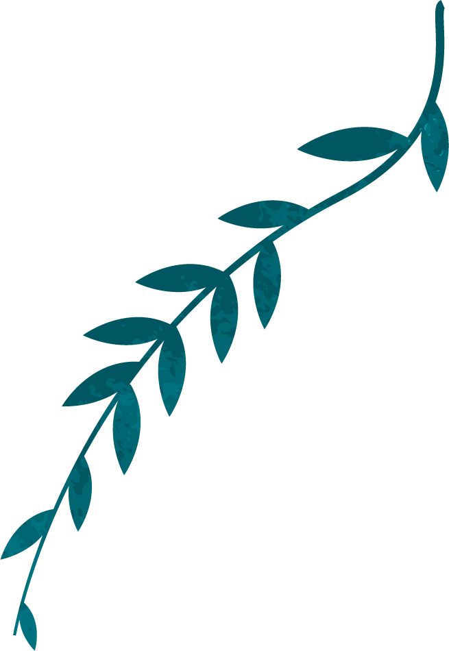 vine