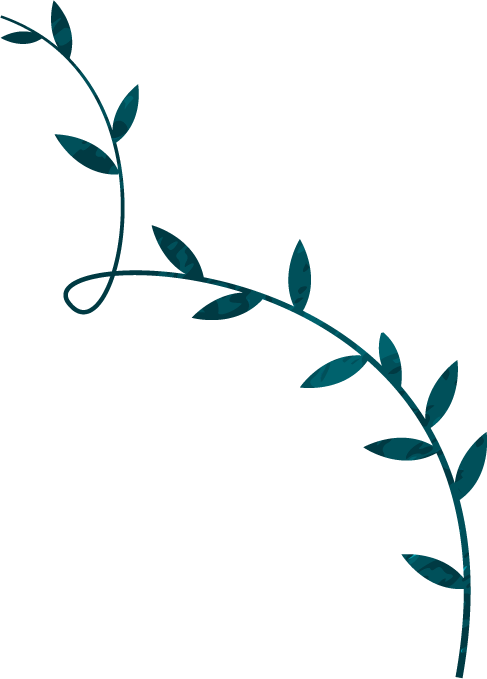vine
