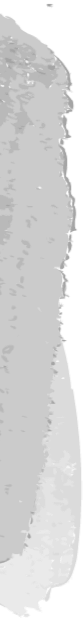 border